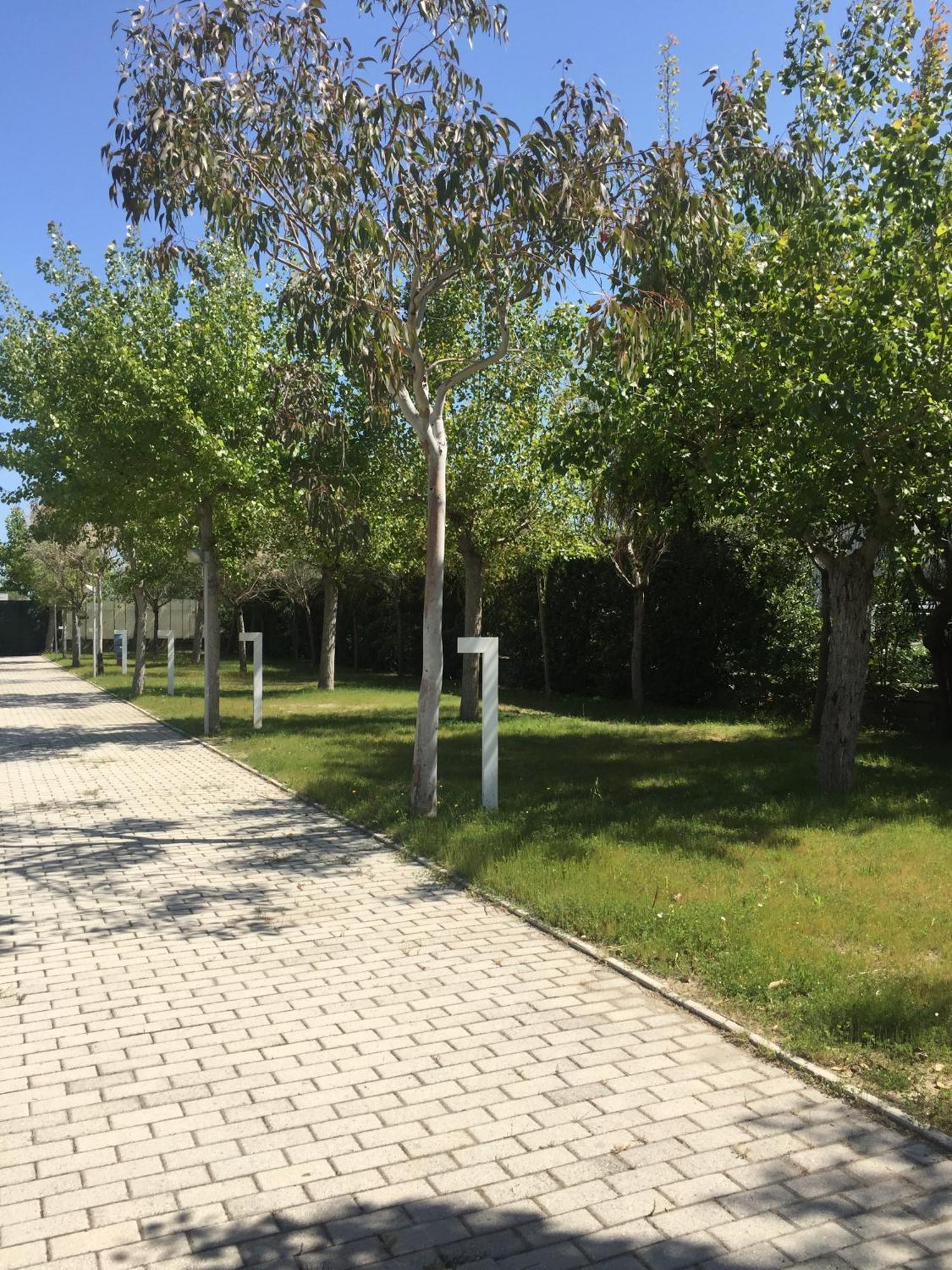 Camping & Residence Il Pioppeto Vasto Exterior photo